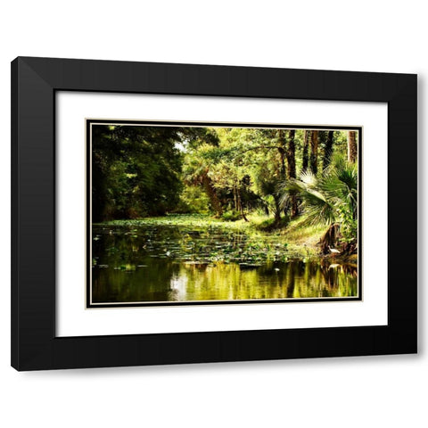 Silver River III Black Modern Wood Framed Art Print with Double Matting by Hausenflock, Alan