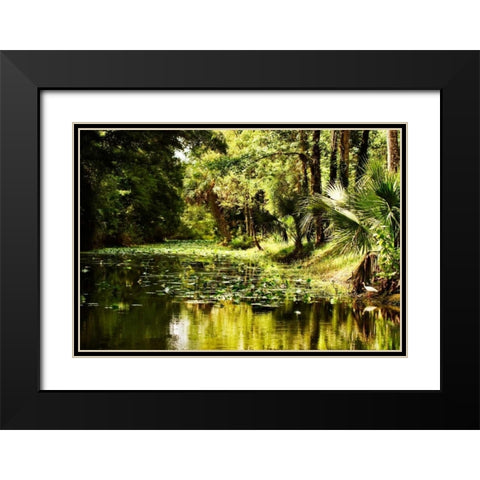 Silver River III Black Modern Wood Framed Art Print with Double Matting by Hausenflock, Alan