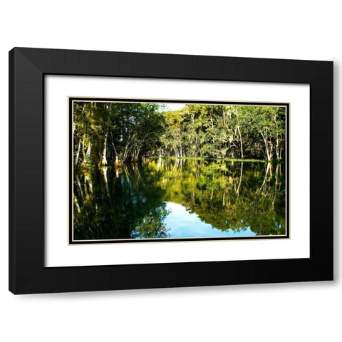 Silver River IV Black Modern Wood Framed Art Print with Double Matting by Hausenflock, Alan