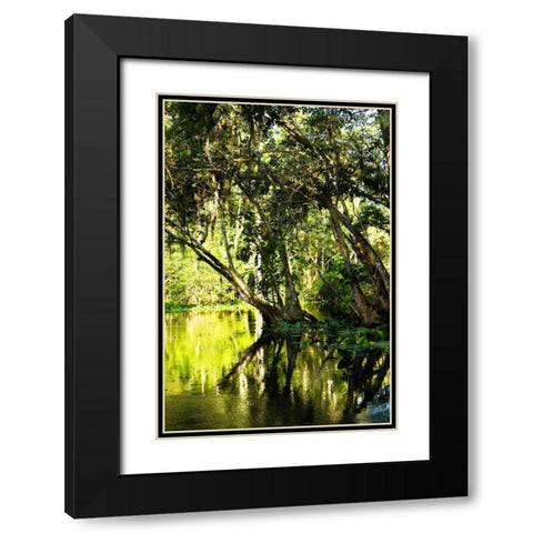 Winding River II Black Modern Wood Framed Art Print with Double Matting by Hausenflock, Alan