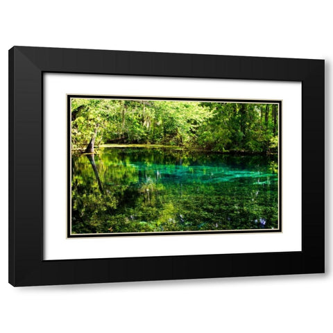 Clear Spring Waters I Black Modern Wood Framed Art Print with Double Matting by Hausenflock, Alan