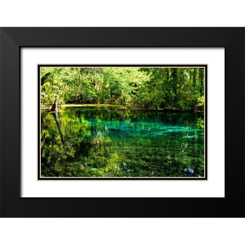 Clear Spring Waters I Black Modern Wood Framed Art Print with Double Matting by Hausenflock, Alan