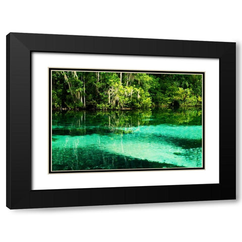 Clear Spring Waters II Black Modern Wood Framed Art Print with Double Matting by Hausenflock, Alan