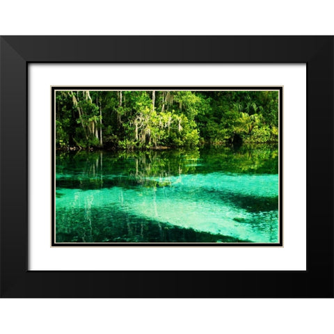 Clear Spring Waters II Black Modern Wood Framed Art Print with Double Matting by Hausenflock, Alan