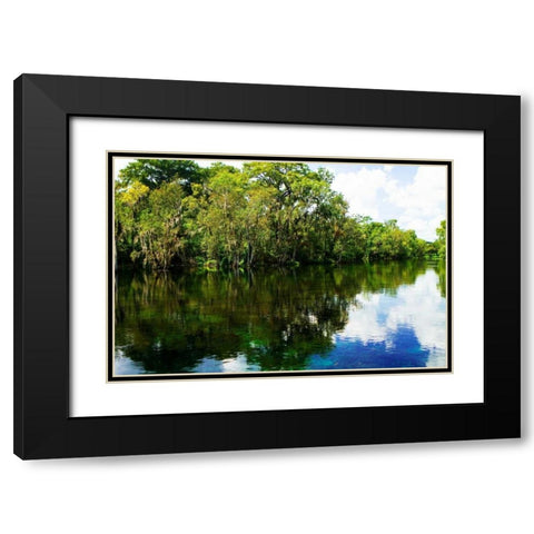 Silver River VII Black Modern Wood Framed Art Print with Double Matting by Hausenflock, Alan