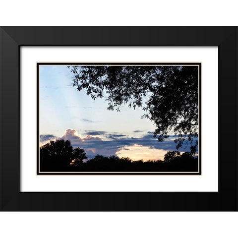 Sunset Through the Trees I Black Modern Wood Framed Art Print with Double Matting by Hausenflock, Alan