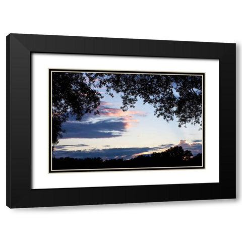 Sunset Through the Trees II Black Modern Wood Framed Art Print with Double Matting by Hausenflock, Alan