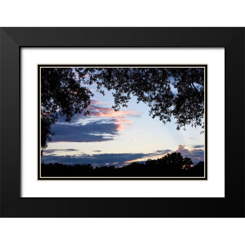 Sunset Through the Trees II Black Modern Wood Framed Art Print with Double Matting by Hausenflock, Alan