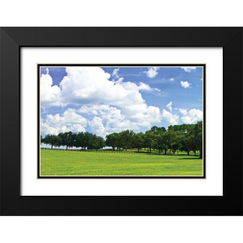 Tree Line IV Black Modern Wood Framed Art Print with Double Matting by Hausenflock, Alan