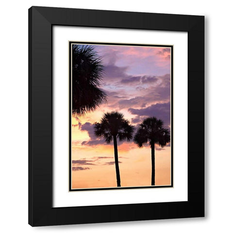 San Marcos Sunset V Black Modern Wood Framed Art Print with Double Matting by Hausenflock, Alan