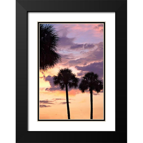 San Marcos Sunset V Black Modern Wood Framed Art Print with Double Matting by Hausenflock, Alan