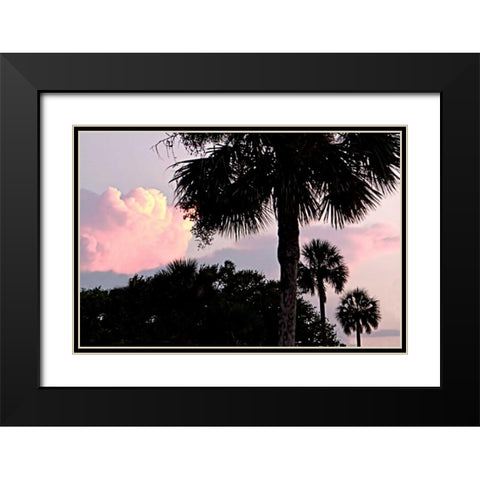 Days End II Black Modern Wood Framed Art Print with Double Matting by Hausenflock, Alan