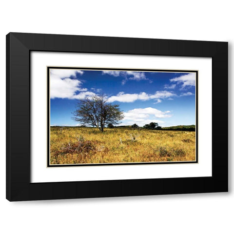 Big Meadow I Black Modern Wood Framed Art Print with Double Matting by Hausenflock, Alan