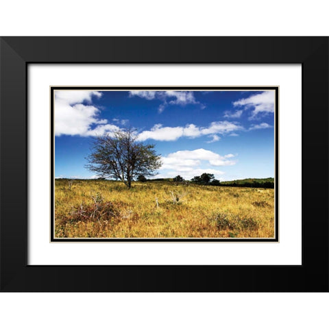 Big Meadow I Black Modern Wood Framed Art Print with Double Matting by Hausenflock, Alan