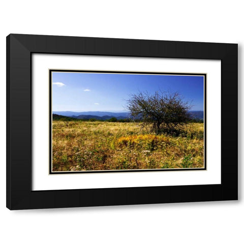 Distant Mountains III Black Modern Wood Framed Art Print with Double Matting by Hausenflock, Alan