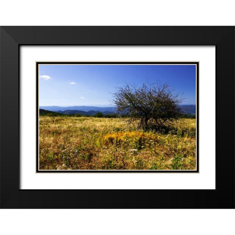 Distant Mountains III Black Modern Wood Framed Art Print with Double Matting by Hausenflock, Alan