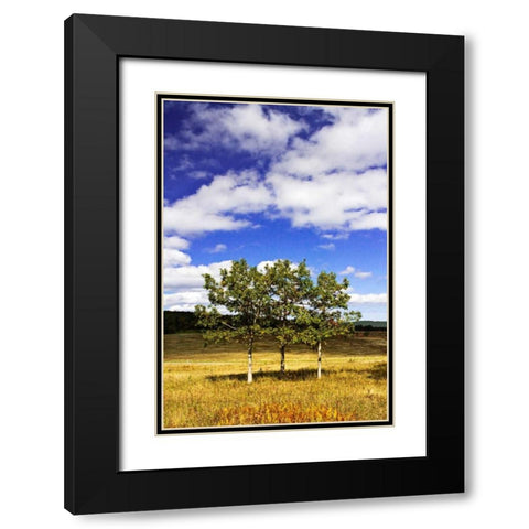 Autumn Fields IV Black Modern Wood Framed Art Print with Double Matting by Hausenflock, Alan