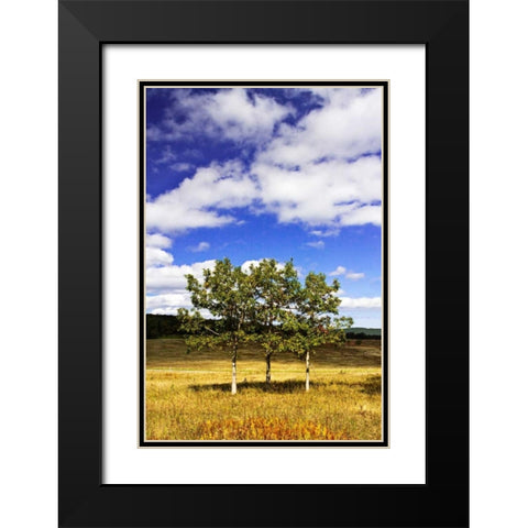 Autumn Fields IV Black Modern Wood Framed Art Print with Double Matting by Hausenflock, Alan