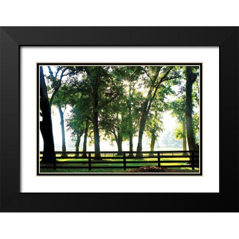 Misty Sunrise II Black Modern Wood Framed Art Print with Double Matting by Hausenflock, Alan