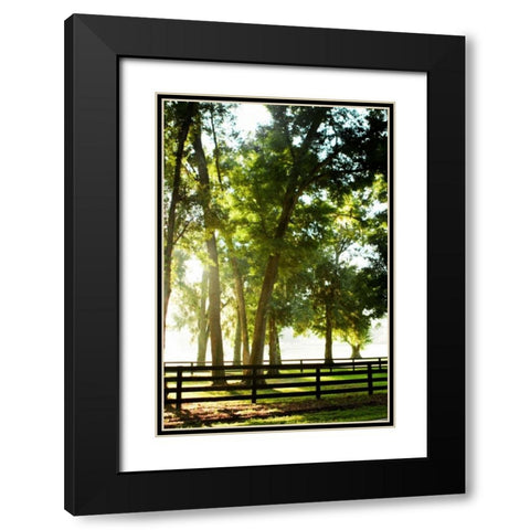 Misty Sunrise III Black Modern Wood Framed Art Print with Double Matting by Hausenflock, Alan