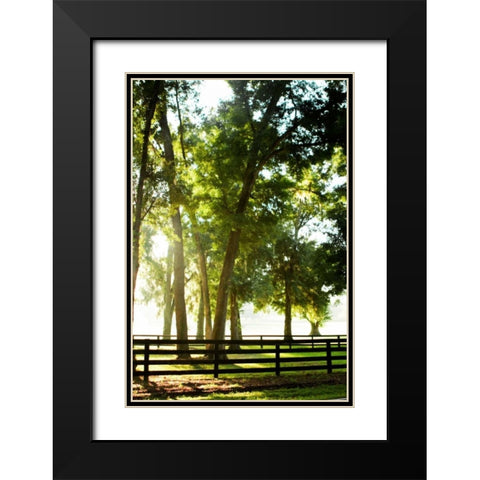 Misty Sunrise III Black Modern Wood Framed Art Print with Double Matting by Hausenflock, Alan