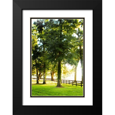 Misty Sunrise IV Black Modern Wood Framed Art Print with Double Matting by Hausenflock, Alan