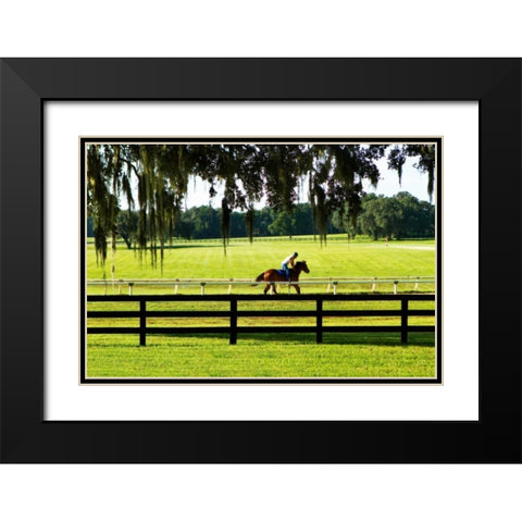 Training Day I Black Modern Wood Framed Art Print with Double Matting by Hausenflock, Alan
