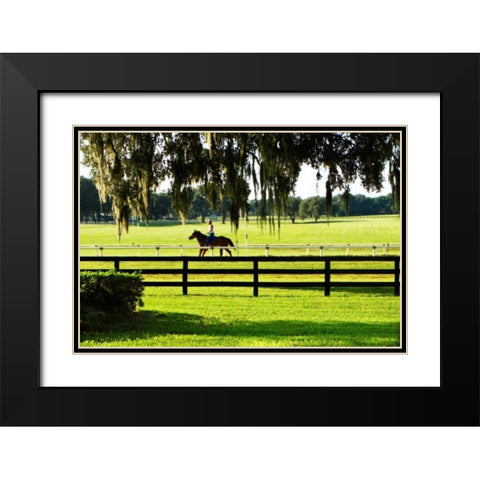 Training Day II Black Modern Wood Framed Art Print with Double Matting by Hausenflock, Alan