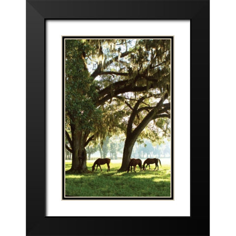 Horses in the Sunrise V Black Modern Wood Framed Art Print with Double Matting by Hausenflock, Alan