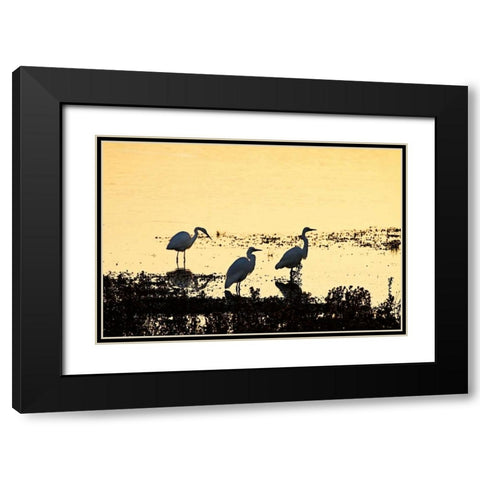 Egrets in the Sunrise I Black Modern Wood Framed Art Print with Double Matting by Hausenflock, Alan