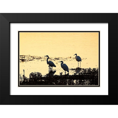 Egrets in the Sunrise II Black Modern Wood Framed Art Print with Double Matting by Hausenflock, Alan