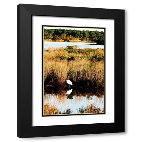 Assateague Island II Black Modern Wood Framed Art Print with Double Matting by Hausenflock, Alan