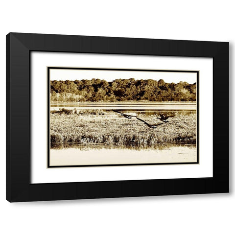 Assateague Island III Black Modern Wood Framed Art Print with Double Matting by Hausenflock, Alan