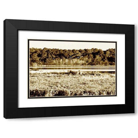 Assateague Island IV Black Modern Wood Framed Art Print with Double Matting by Hausenflock, Alan