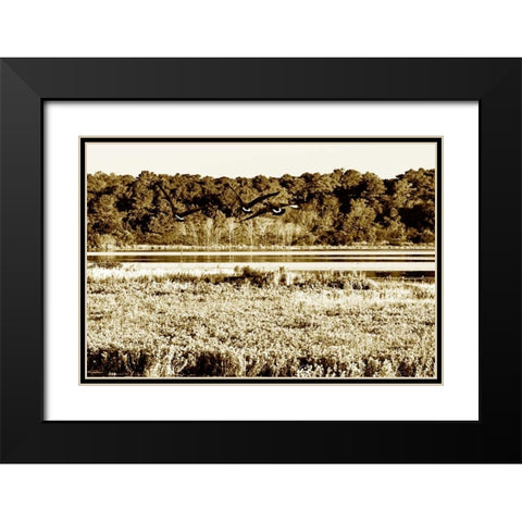 Assateague Island IV Black Modern Wood Framed Art Print with Double Matting by Hausenflock, Alan