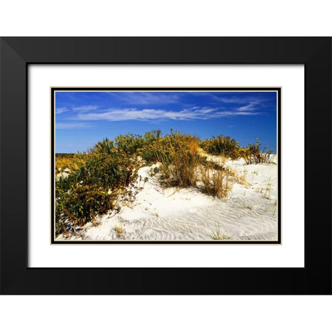 Assateague Beach I Black Modern Wood Framed Art Print with Double Matting by Hausenflock, Alan