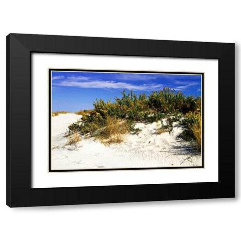 Assateague Beach II Black Modern Wood Framed Art Print with Double Matting by Hausenflock, Alan