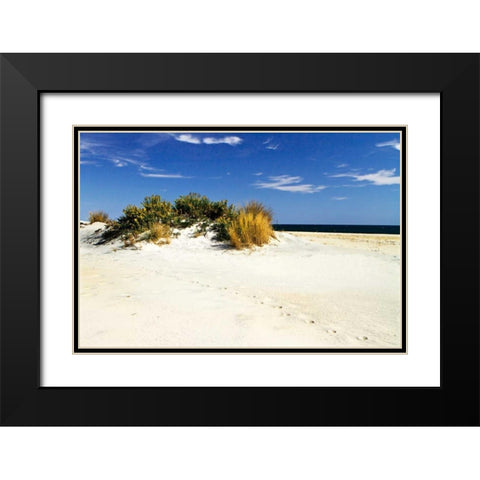 Assateague Beach III Black Modern Wood Framed Art Print with Double Matting by Hausenflock, Alan