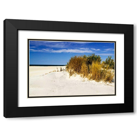 Assateague Beach IV Black Modern Wood Framed Art Print with Double Matting by Hausenflock, Alan