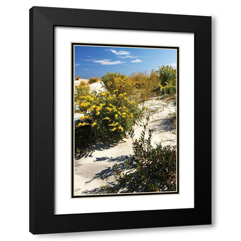 Assateague Beach V Black Modern Wood Framed Art Print with Double Matting by Hausenflock, Alan