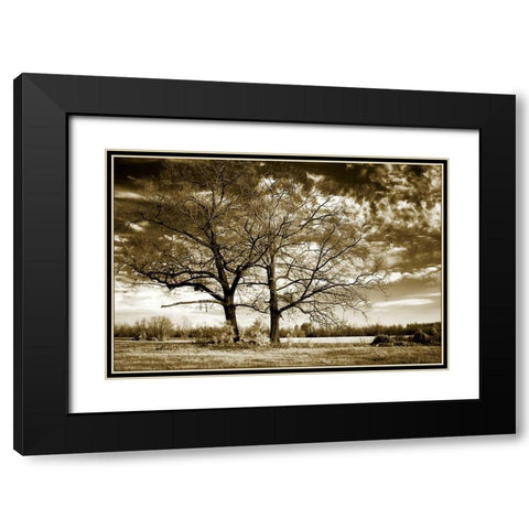 Rolesville Oaks Black Modern Wood Framed Art Print with Double Matting by Hausenflock, Alan