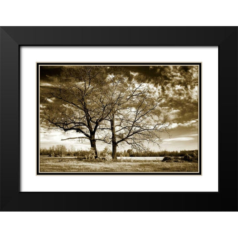 Rolesville Oaks Black Modern Wood Framed Art Print with Double Matting by Hausenflock, Alan