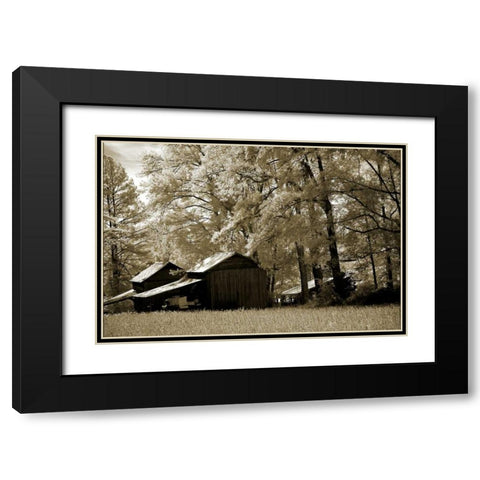 Tobacco Road Black Modern Wood Framed Art Print with Double Matting by Hausenflock, Alan
