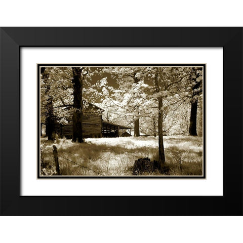 Smokehouse Black Modern Wood Framed Art Print with Double Matting by Hausenflock, Alan