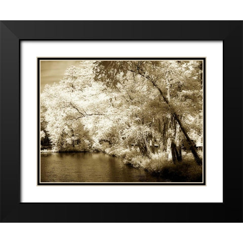 Mattaponi III Black Modern Wood Framed Art Print with Double Matting by Hausenflock, Alan