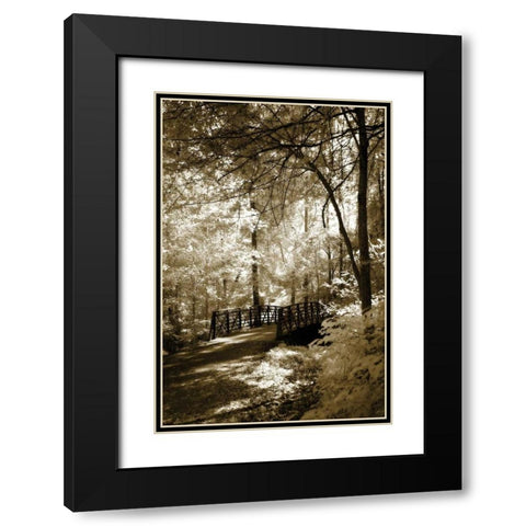 Summer Bridge Black Modern Wood Framed Art Print with Double Matting by Hausenflock, Alan