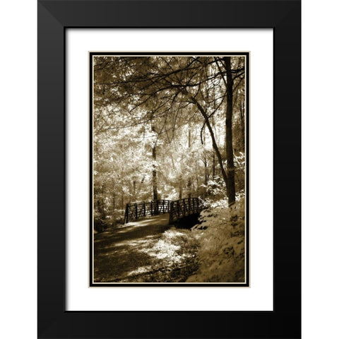 Summer Bridge Black Modern Wood Framed Art Print with Double Matting by Hausenflock, Alan