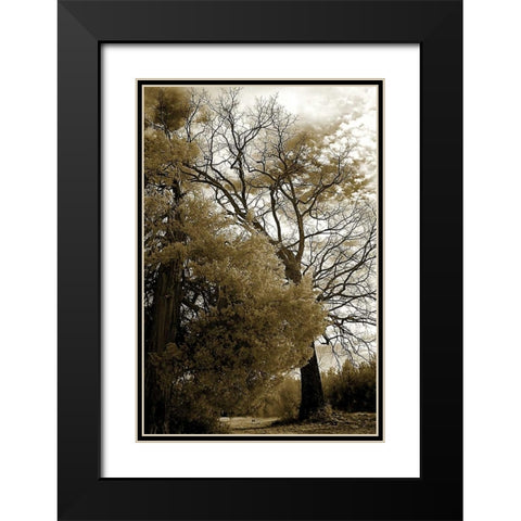 Winter Scene Black Modern Wood Framed Art Print with Double Matting by Hausenflock, Alan