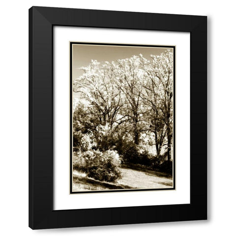 Autumn Meadow II Black Modern Wood Framed Art Print with Double Matting by Hausenflock, Alan