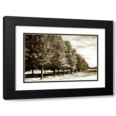 Plantation Road I Black Modern Wood Framed Art Print with Double Matting by Hausenflock, Alan